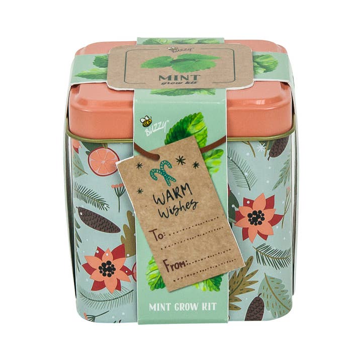 Buzzy, Inc. - Wholesale Plant Seeds - Buzzy Seeds Holiday Square Tin - Mint