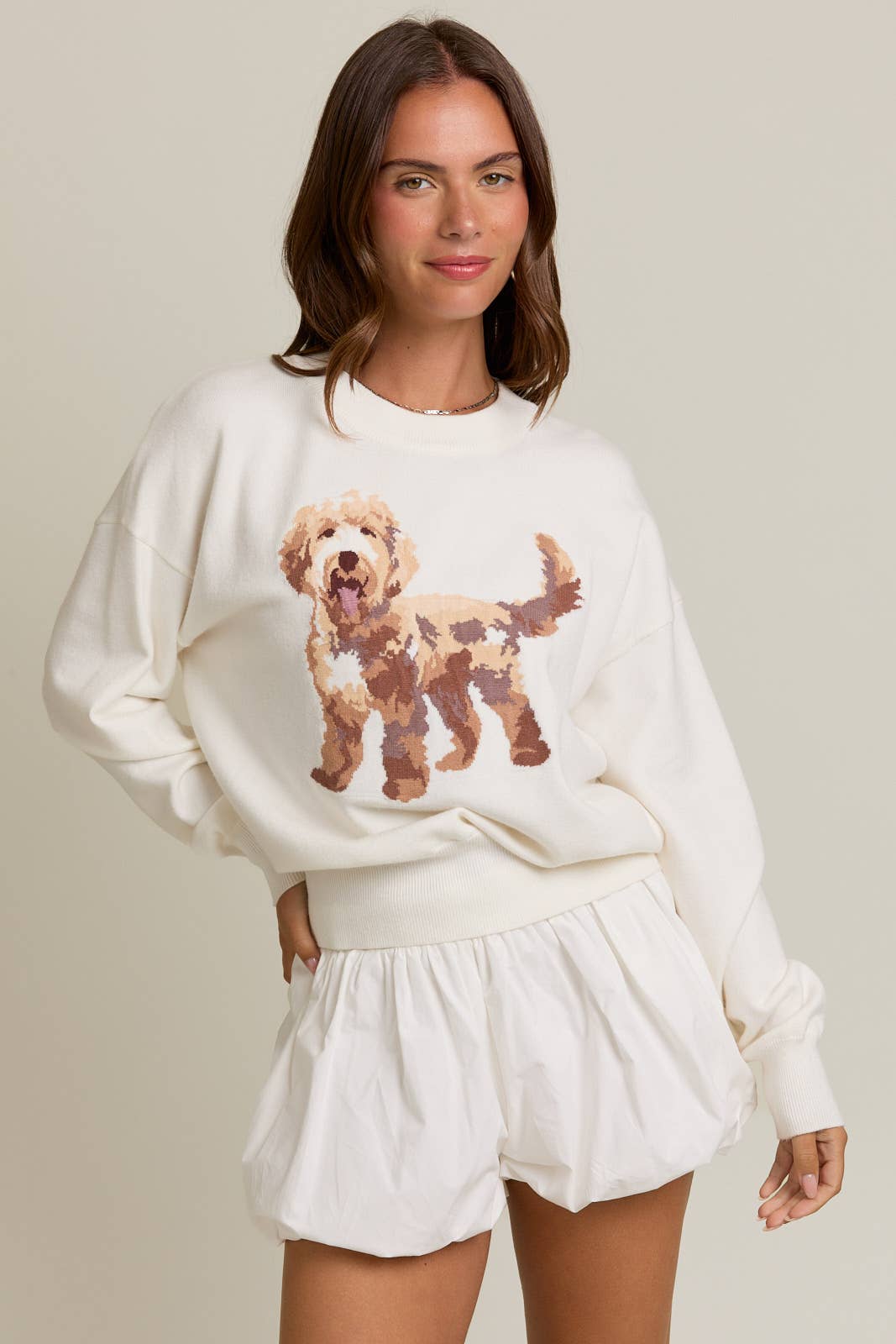 White LONG SLEEVE CREW NECK PUPPY GRAPHIC SWEATER for wholesale on Faire1