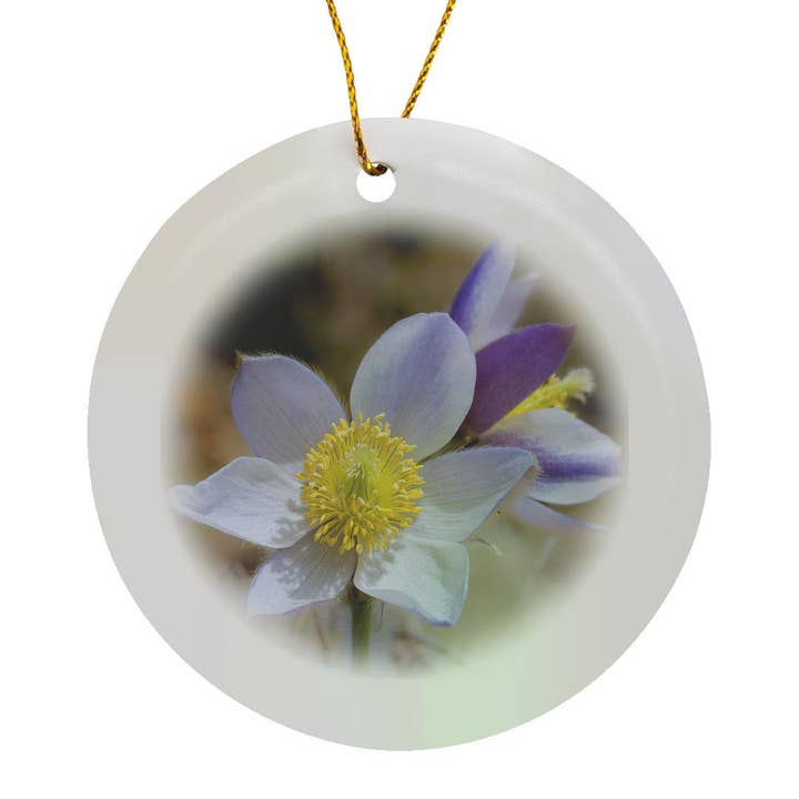 3dRose - Wholesale Ornament - 3dRose, Spring pasqueflower blooms in mountains of Otztal Alps, Italy., Ornament