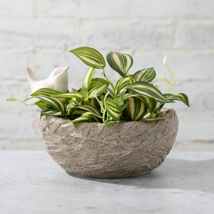 Sullivans Home Decor - Wholesale Bird Bath - Resin Bird On Nest Bird Bath