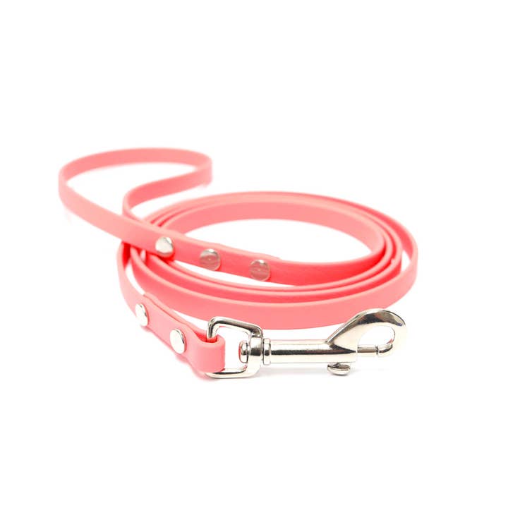 Mimi Green - Wholesale Pet Leash - Dog - Waterproof Biothane Small Dog or Toy Dog Leash – 3/8″ width