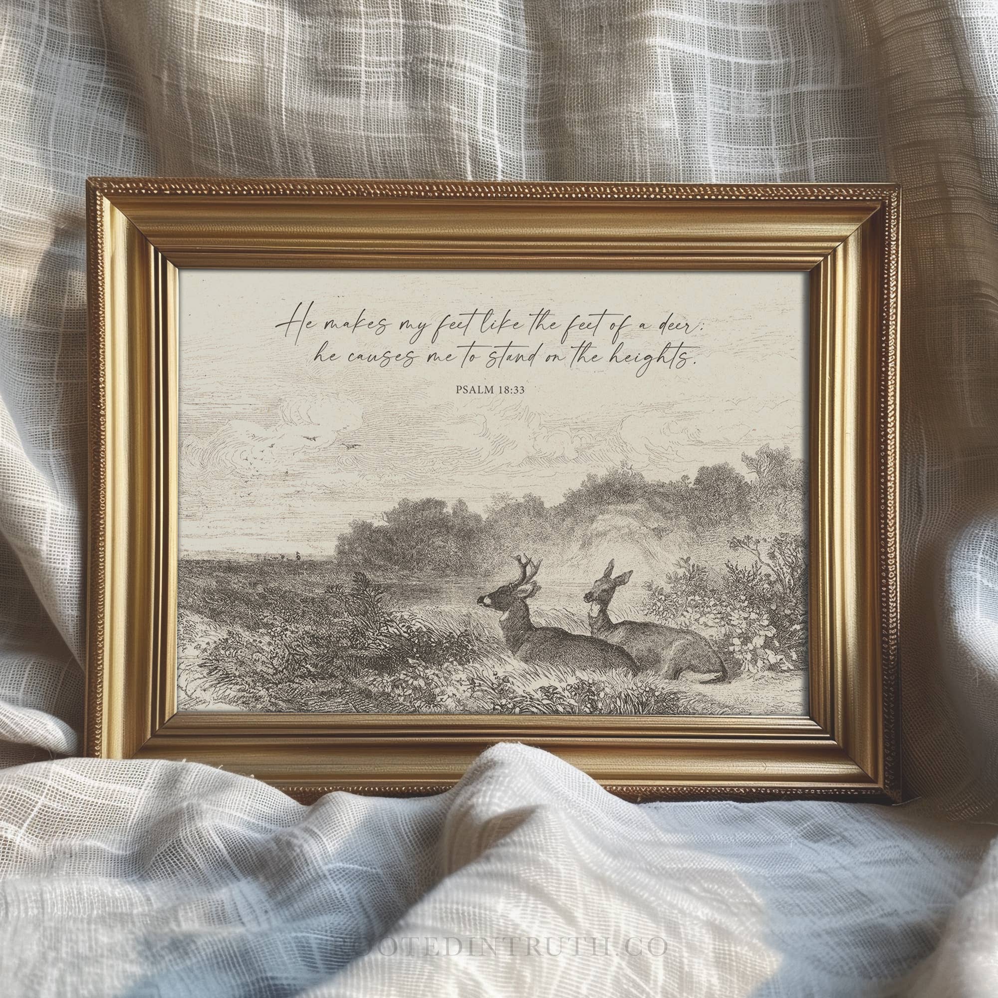 Rooted in Truth - Wholesale Art Print - Feet Like a Deer - Wall Art Print Christian Decor, Wildlife1