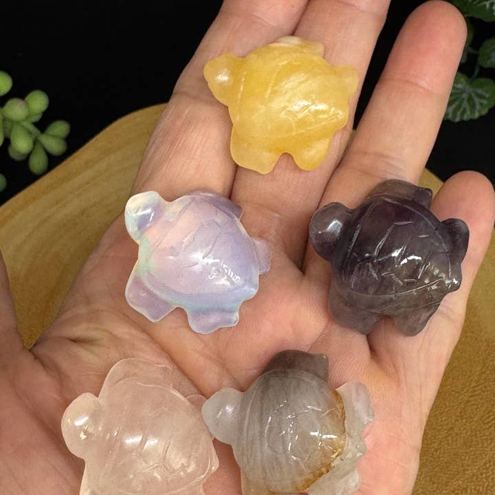 5 pc Mix mini gem turtle carving F782 for wholesale by The 7 Directions