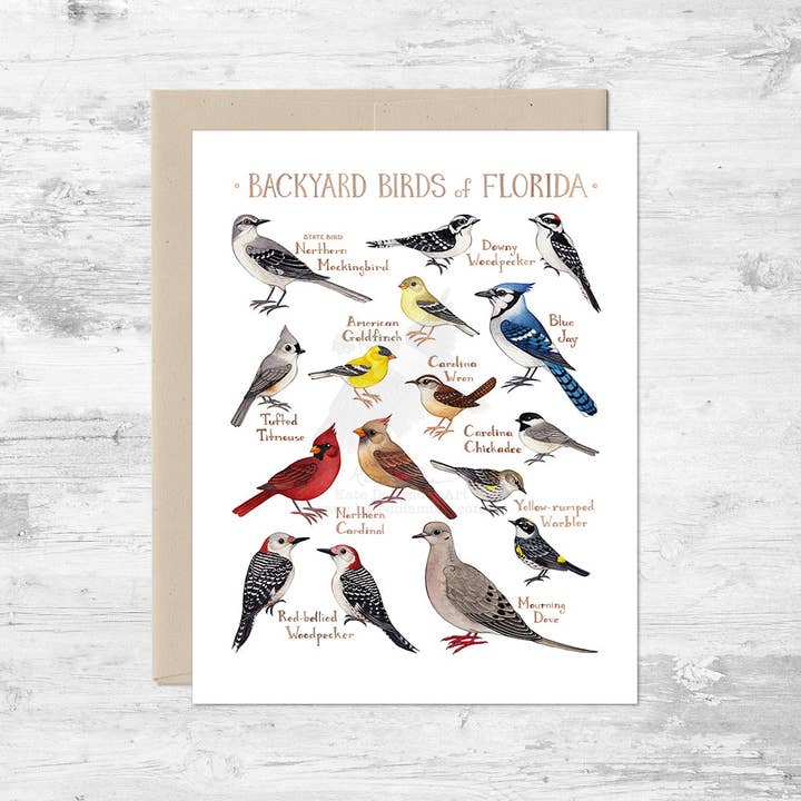 Wholesale Note Card: Backyard Birds of Florida for wholesale by Kate Dolamore Art