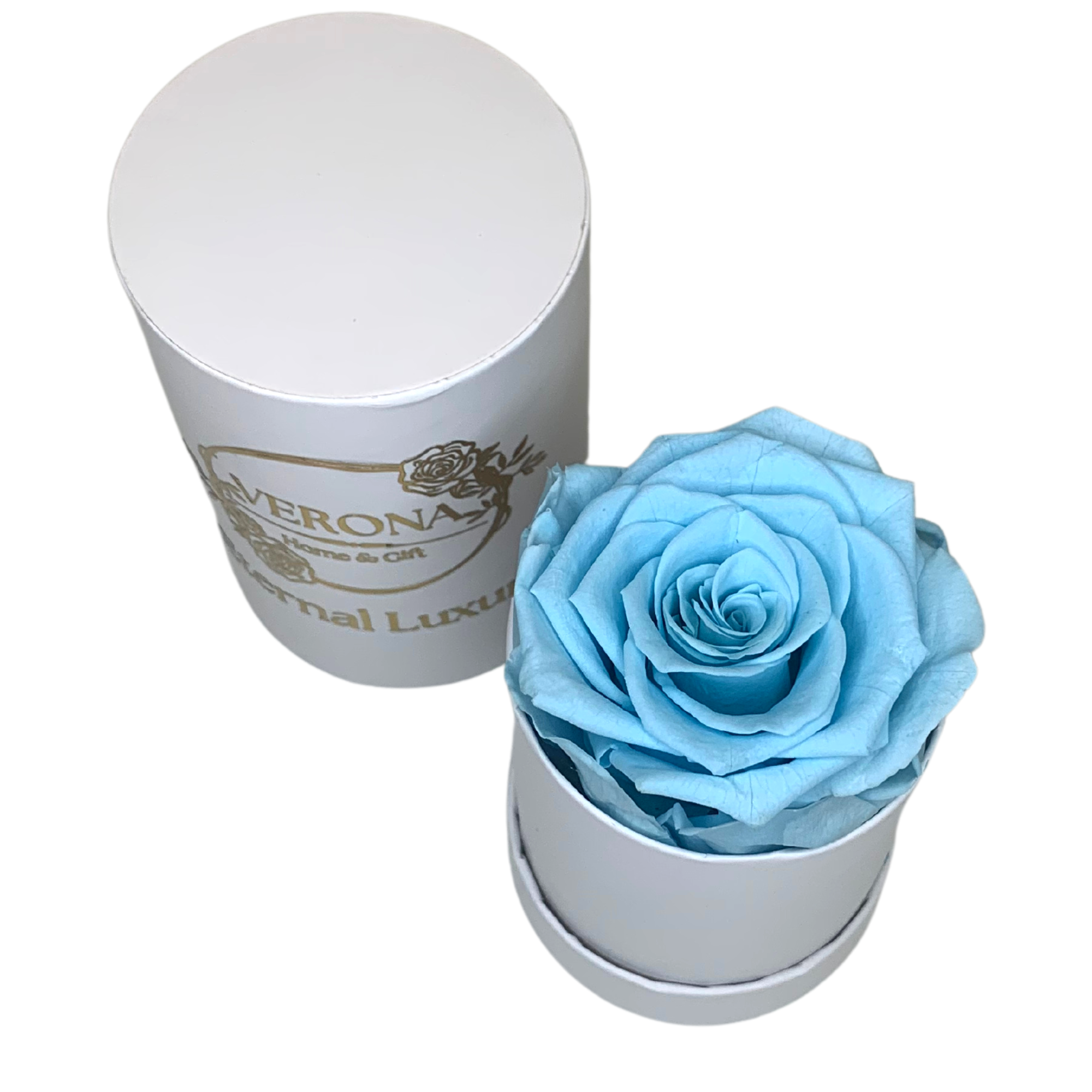 verona home and gift - Wholesale Dried/Pressed Flowers - Real Preserved Roses that Last Forever 26