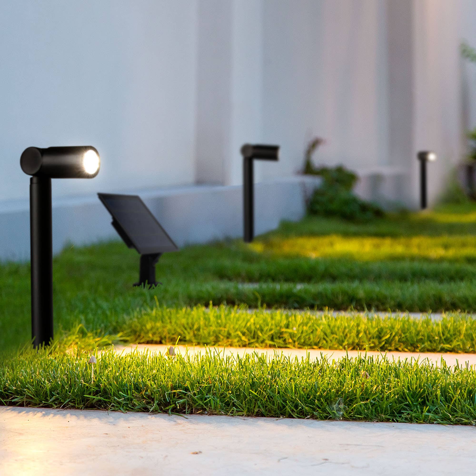 Forlight - Wholesale Outdoor/Lawn Light - Lis - Solar Garden Projector Light1