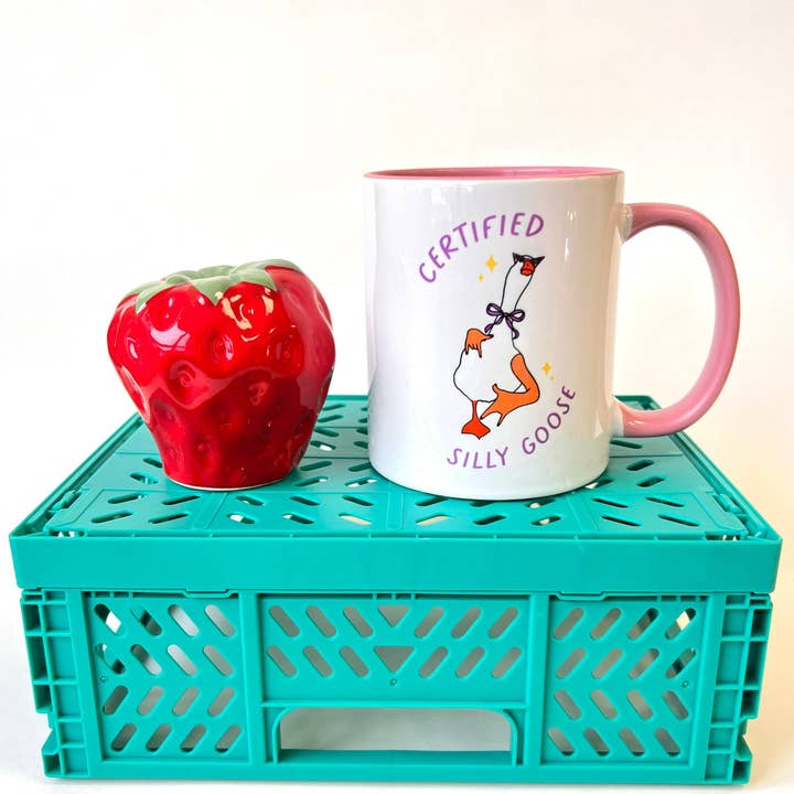 Certified silly goose mug for wholesale by Howrad Studios