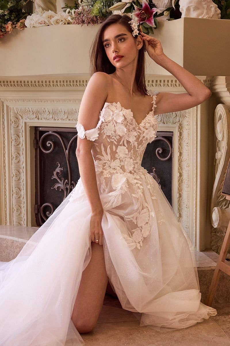 Off White Nude Lace Appliqued A-Line Tule Wedding Dress for wholesale on Faire2