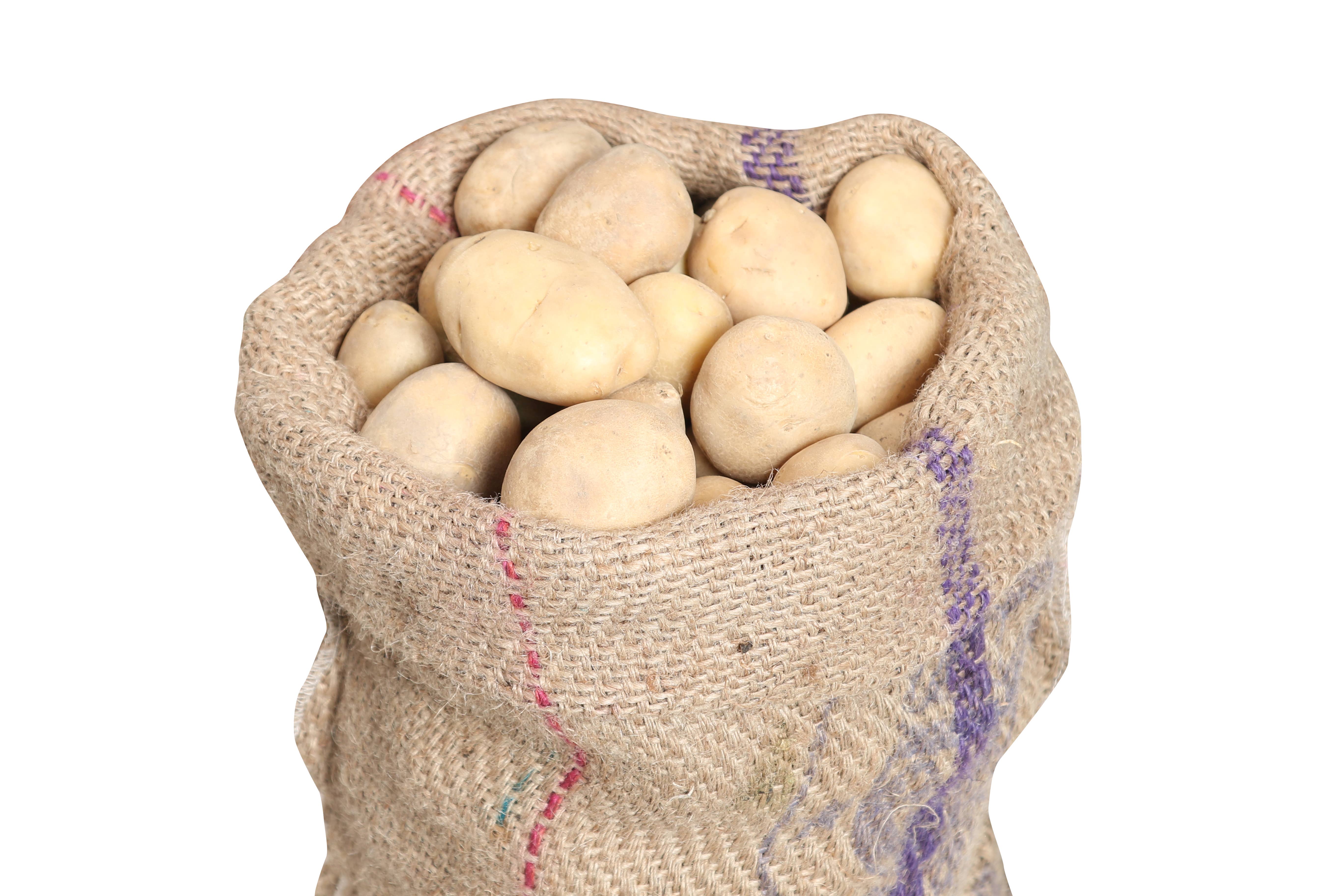 Woven Magic - Vendita all'ingrosso Involucro/sacchetto per alimenti - Sacco Skrecy per patate e cipolle7