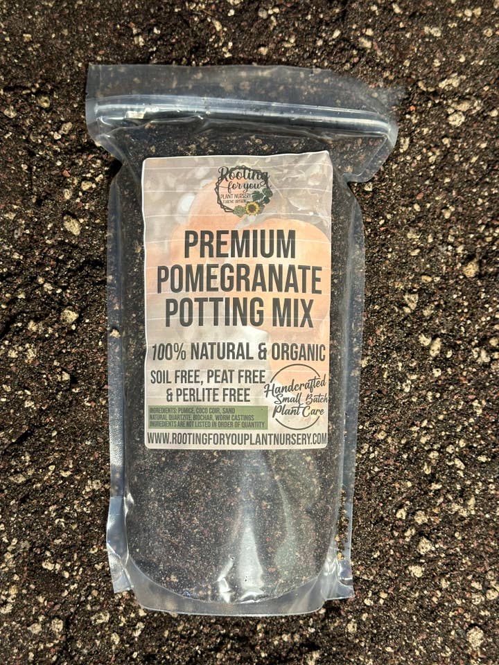 Mezcla para macetas Pomegranate Premium para venta al por mayor de Rooting For You Plant Nursery