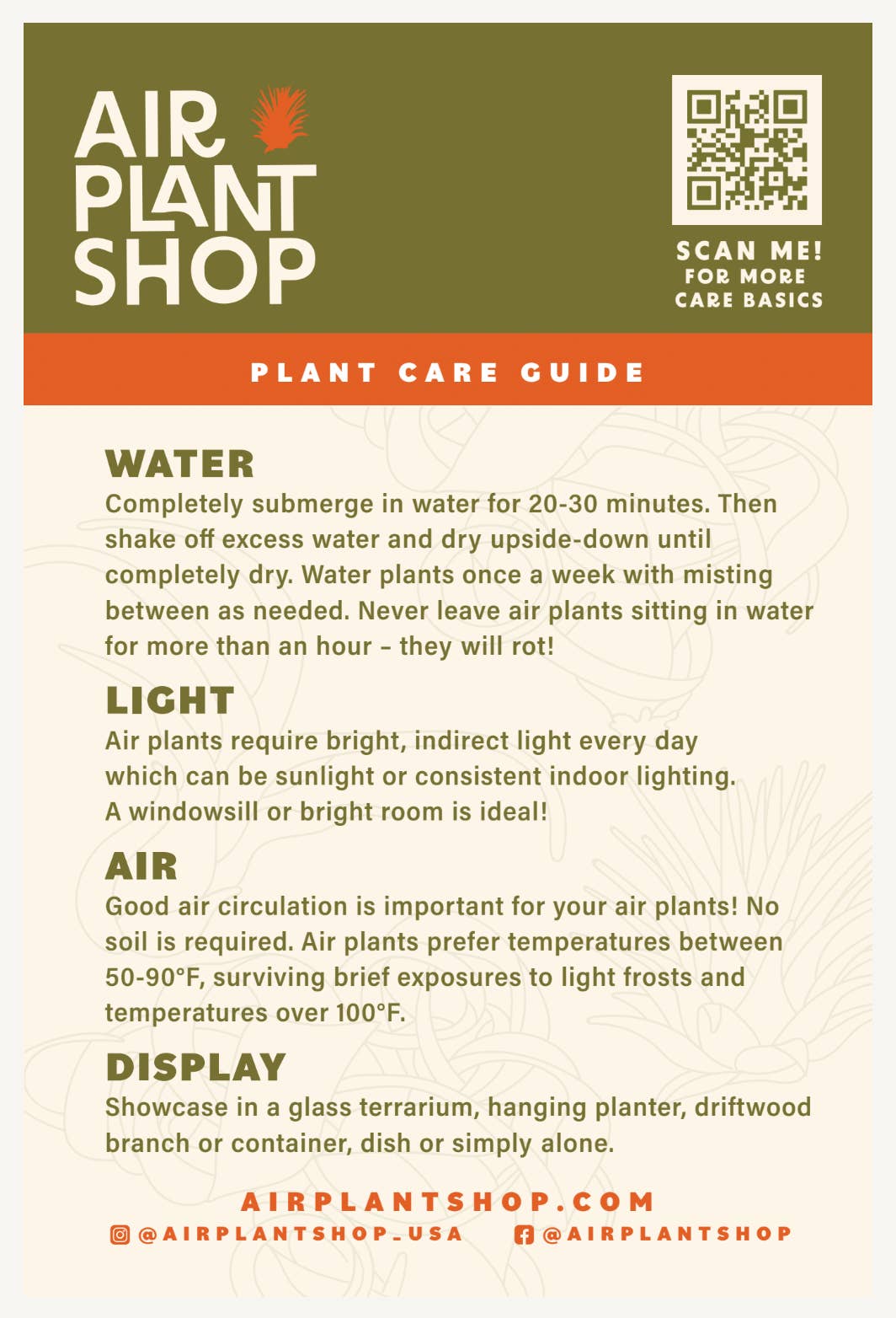 Air Plant Shop - Wholesale Plant Seeds - 3X5 Inch Air Plant Care Cards - For Your Customers