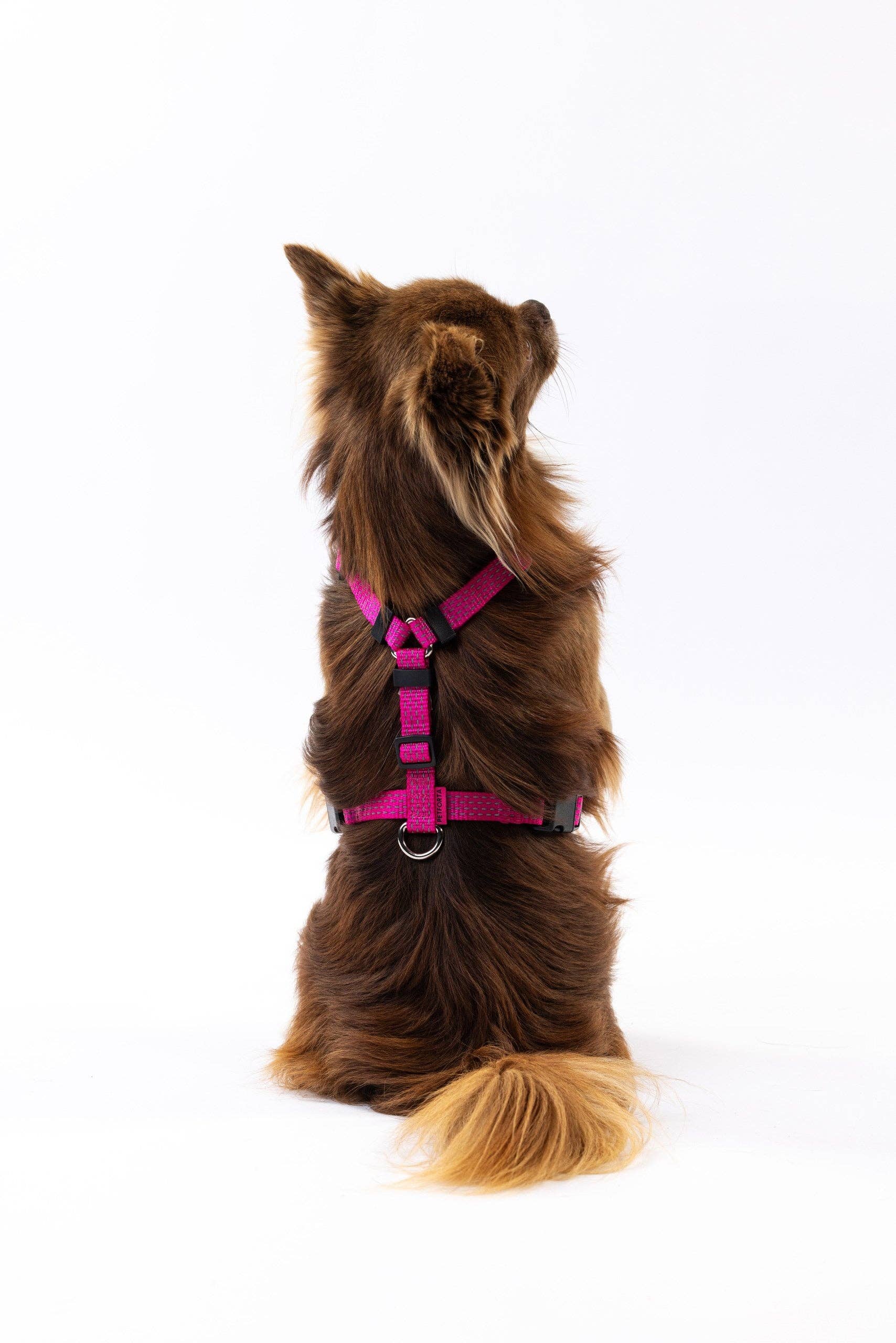 PETFORTA - Wholesale Pet Harness - Dog - Anatomical Dog Harness - pink color3