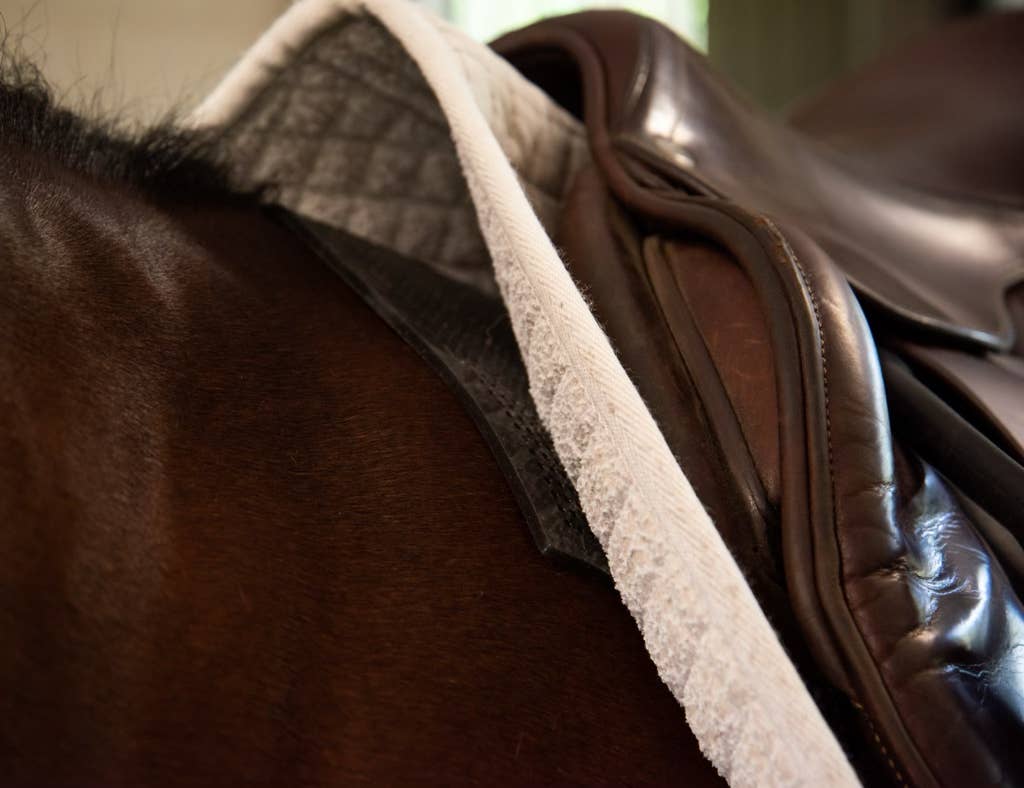 ACE Equestrian - Vendita all'ingrosso Attrezzatura da equitazione - PRO4MANCE | Sottosella antiscivolo (nero)7