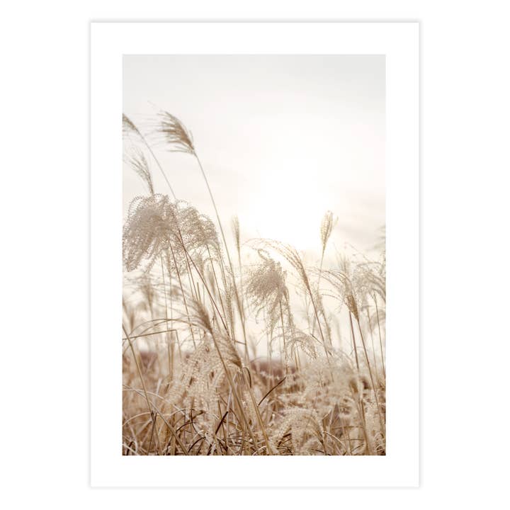 Field Of Grasses Photography for wholesale by Ellisimo