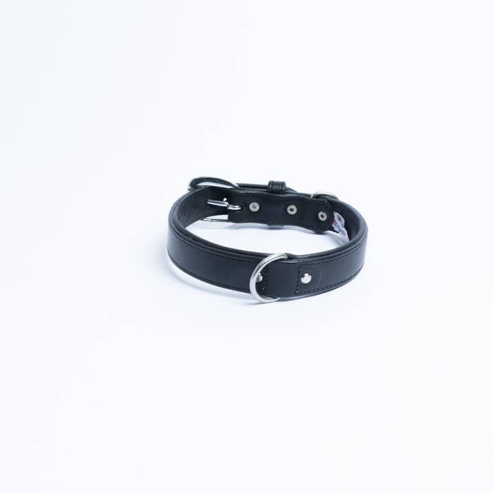 Angel Pet Supplies Inc. - Wholesale Pet Collar - Dog - Dallas Leather Dog Collar by ANGEL™ | Authentic8