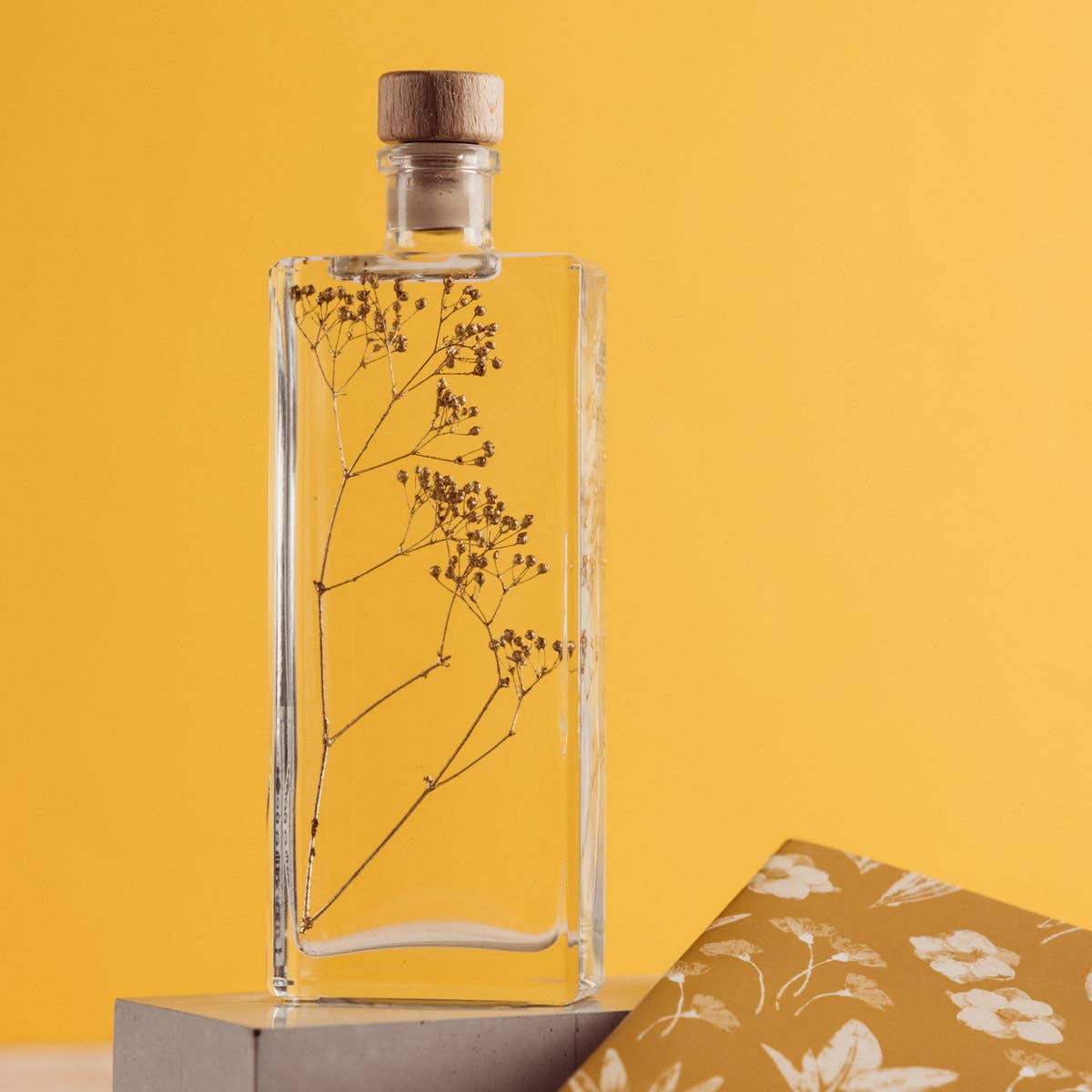 Theophile Berthon - Vente Plante - L'Herbarium Gypsophile Or - plante immergée14