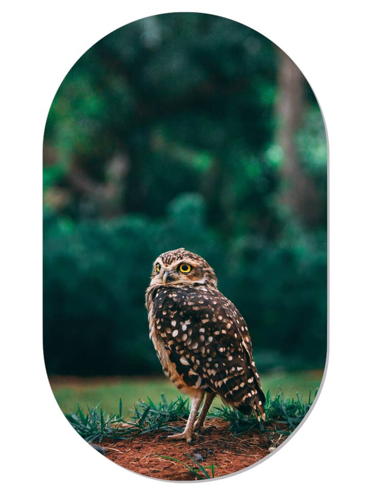 Muurovaal Öl für den Großhandel von Label2X B.V.