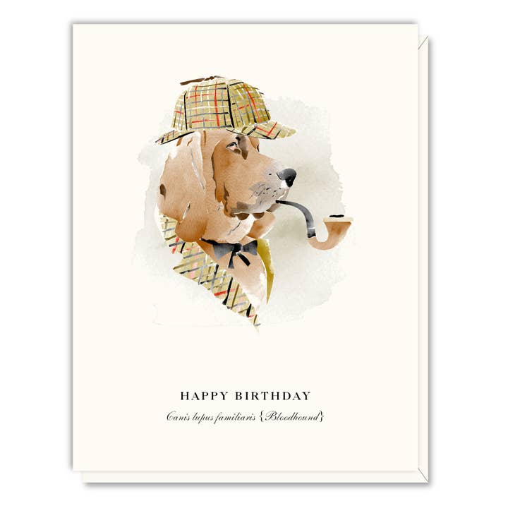Bloodhound Birthday Card for wholesale by Driscoll Design
