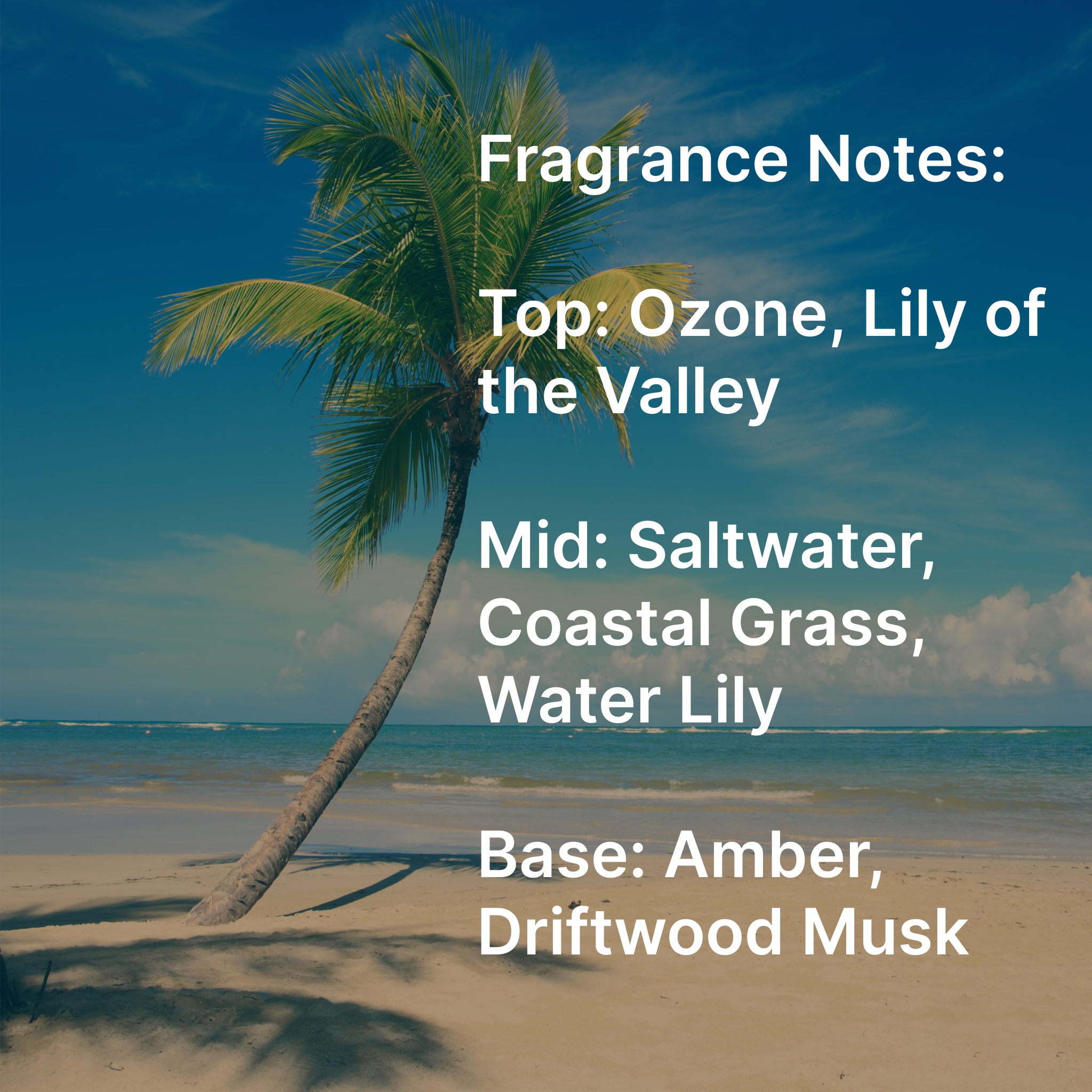 Fig + Vine Skincare - Wholesale Body Cream/Lotion - Triple Butter Body Cream - Clearwater Cay1