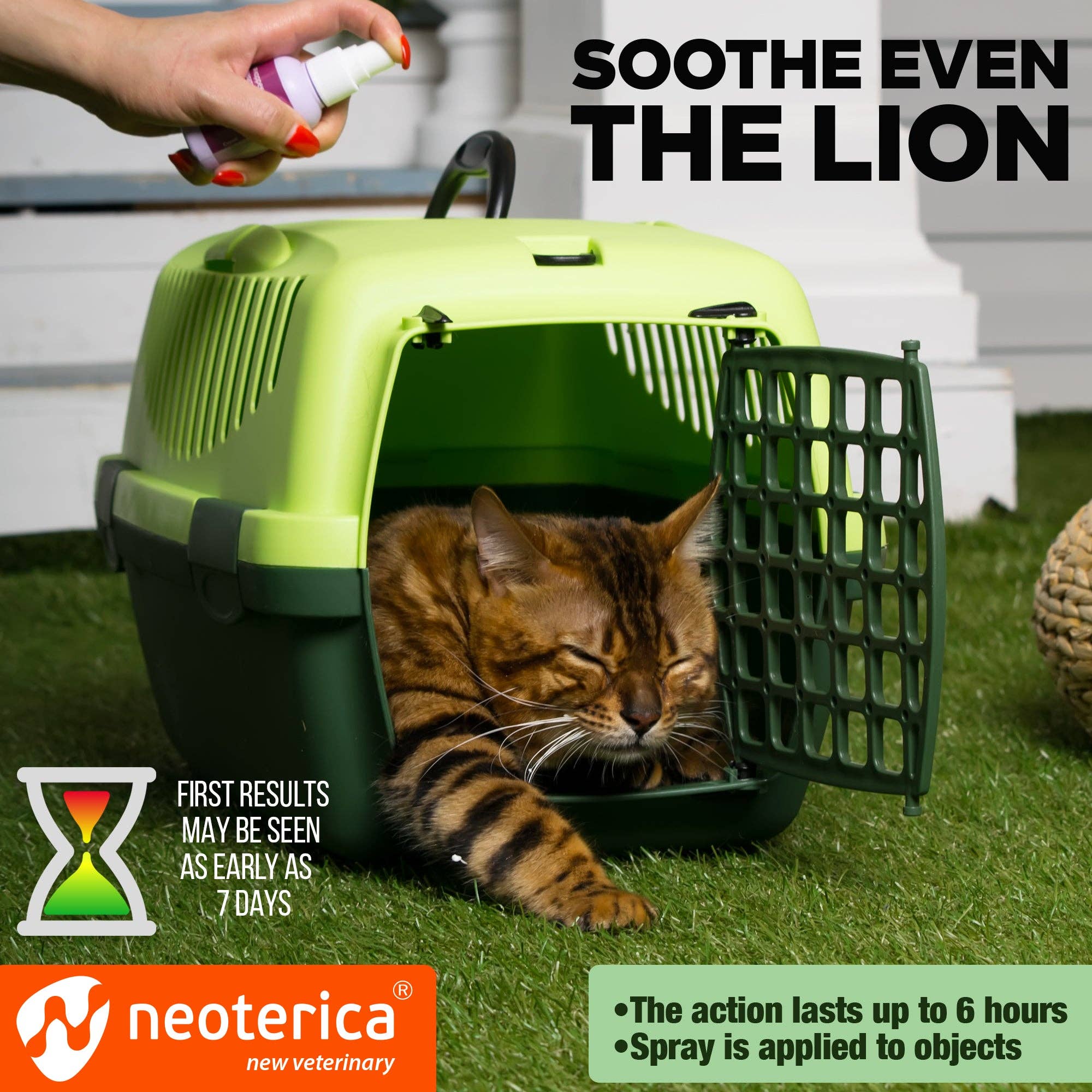 Beloved Pets - Wholesale Pet Scratcher - Cat - RELAXIV Calming Pheromone Spray & Scratch Repellent for Cats - Reduces Scratching Furniture, Pee - During Travel, Fireworks, Thunder, Vet Zone - Helps to Relief Stress, Fighting, Hiding5