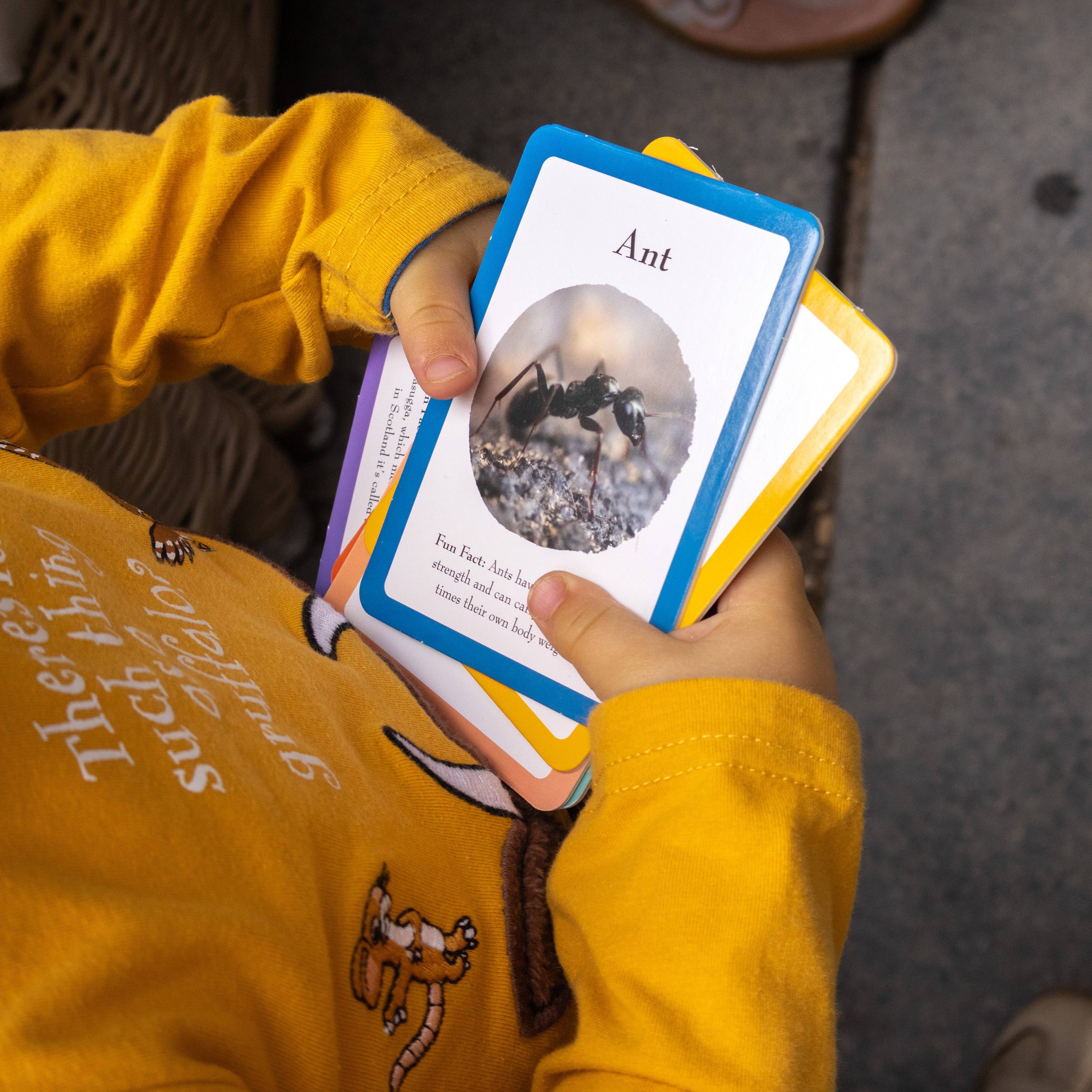 Robert Frederick Ltd – wholesale Toy set – Kids – The Gruffalo Bug Spotter Activity Set10