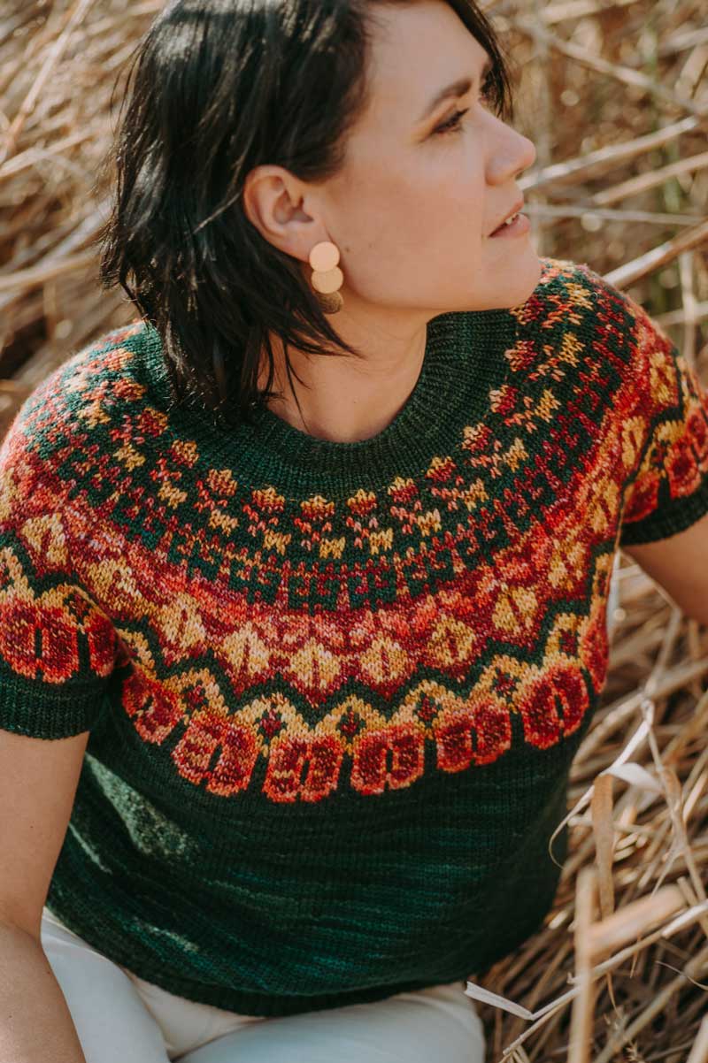 Laine Publishing – wholesale Crafts, Hobbies & DIY – Säsonger av Stygn4