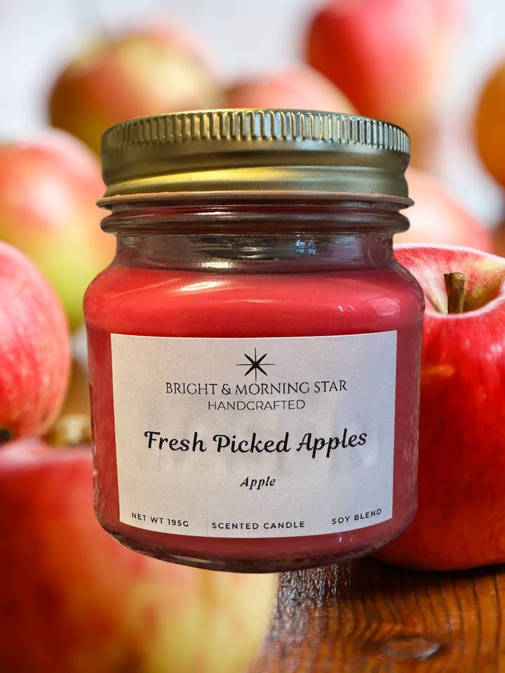 Manzanas recién recogidas para venta al por mayor de BRIGHT AND MORNING STAR CANDLES