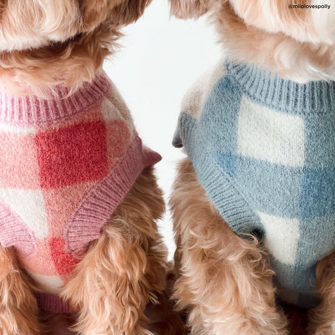 Lucy & Co. - Wholesale Pet Sweater - Dog - Take a Bow Sweater4