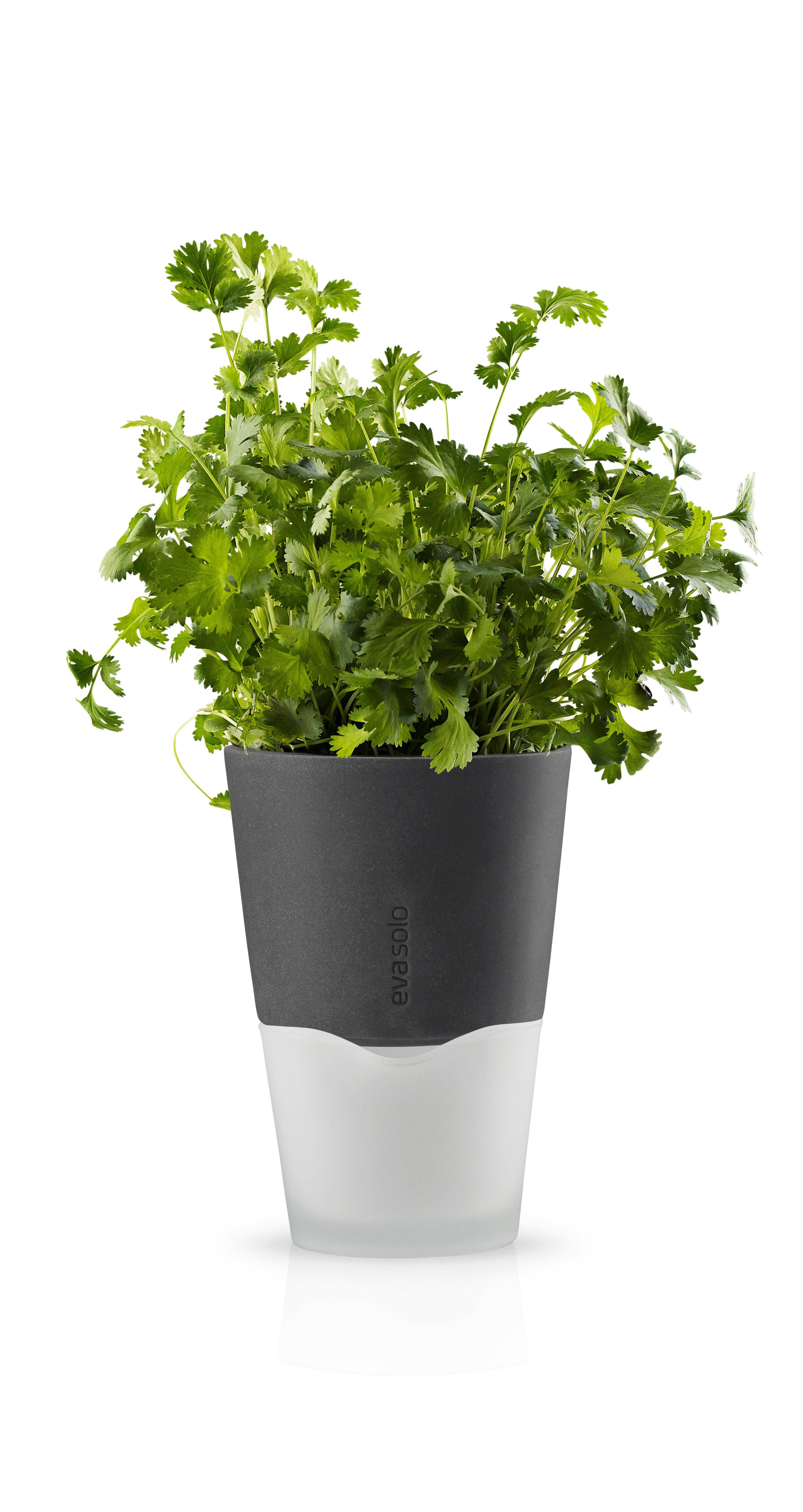 Forma House – wholesale Plant pot – Eva Solo - Herbpot 11 stone grey0