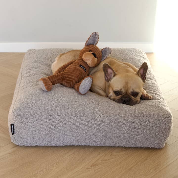 Nordog - Wholesale Pet Plush Toy - Dog - Tyson The Bulldog3