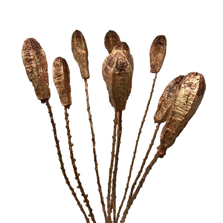 Wilco Home - Wholesale Dried/Pressed Flowers - 9 Stem Simeon Pod Bunch Brushed Copper Bouquet1