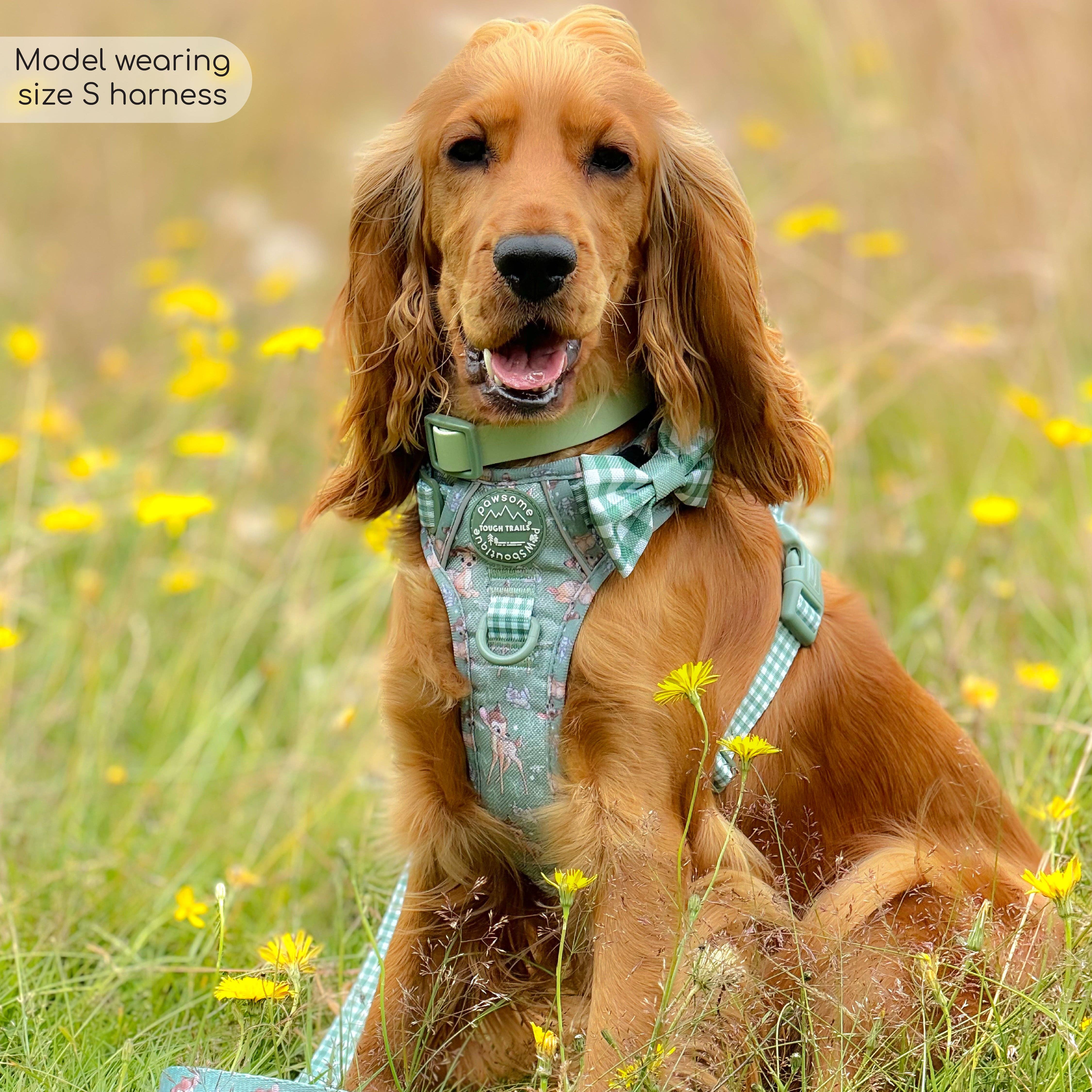 Pawsome Paws - Wholesale Tuig voor huisdieren - Hond - Disney© Tough Trails™ tuigje - Bambi en Stampertje12