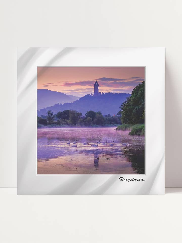 Rassemblement de cygnes pour la vente par Ecosse Encaustics Cards