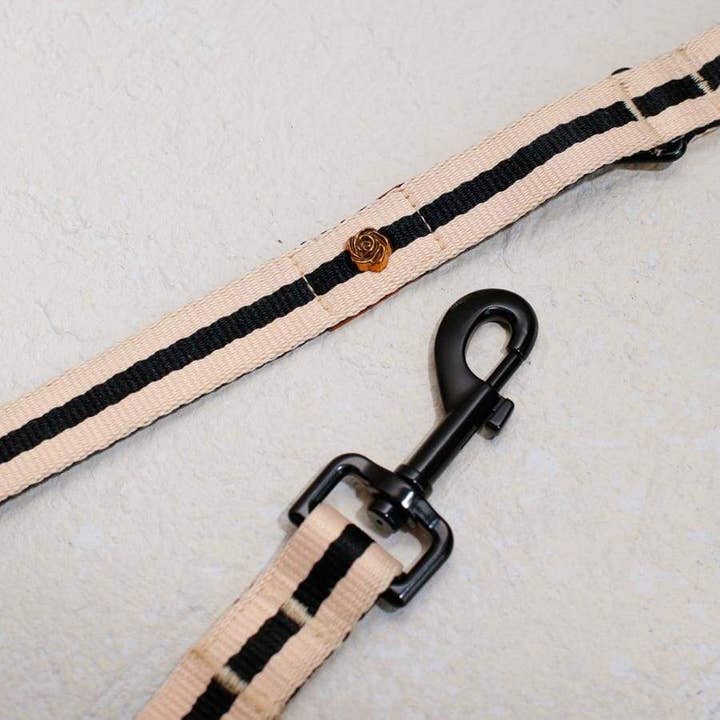 Saint Rue - Wholesale Pet Leash - Dog - Le Classic Dog Leash6