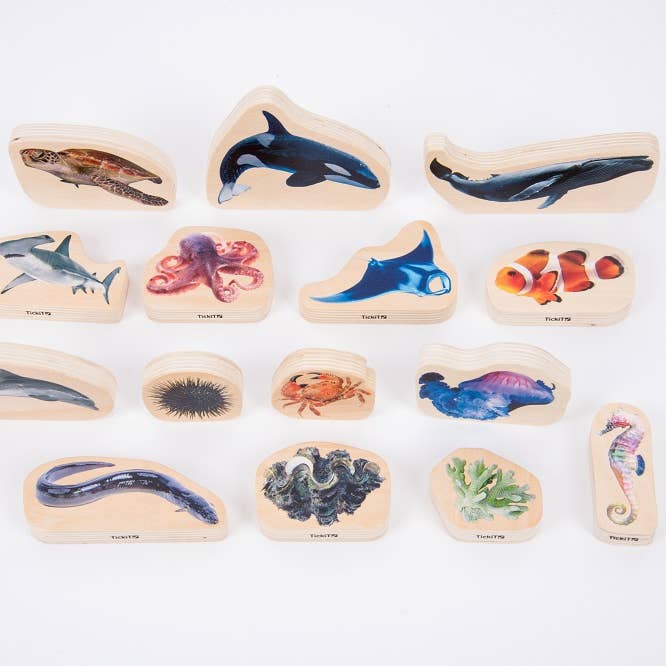 Blocs en bois sur la vie marine - Lot de 15 jouets en bois - Animaux marins pour la vente par Commotion (Europe) BV
