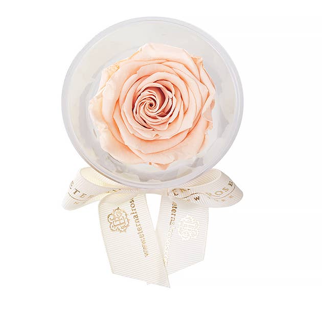 Eternal Roses® - Wholesale Party Favor - Eternal Rose Party Favors21