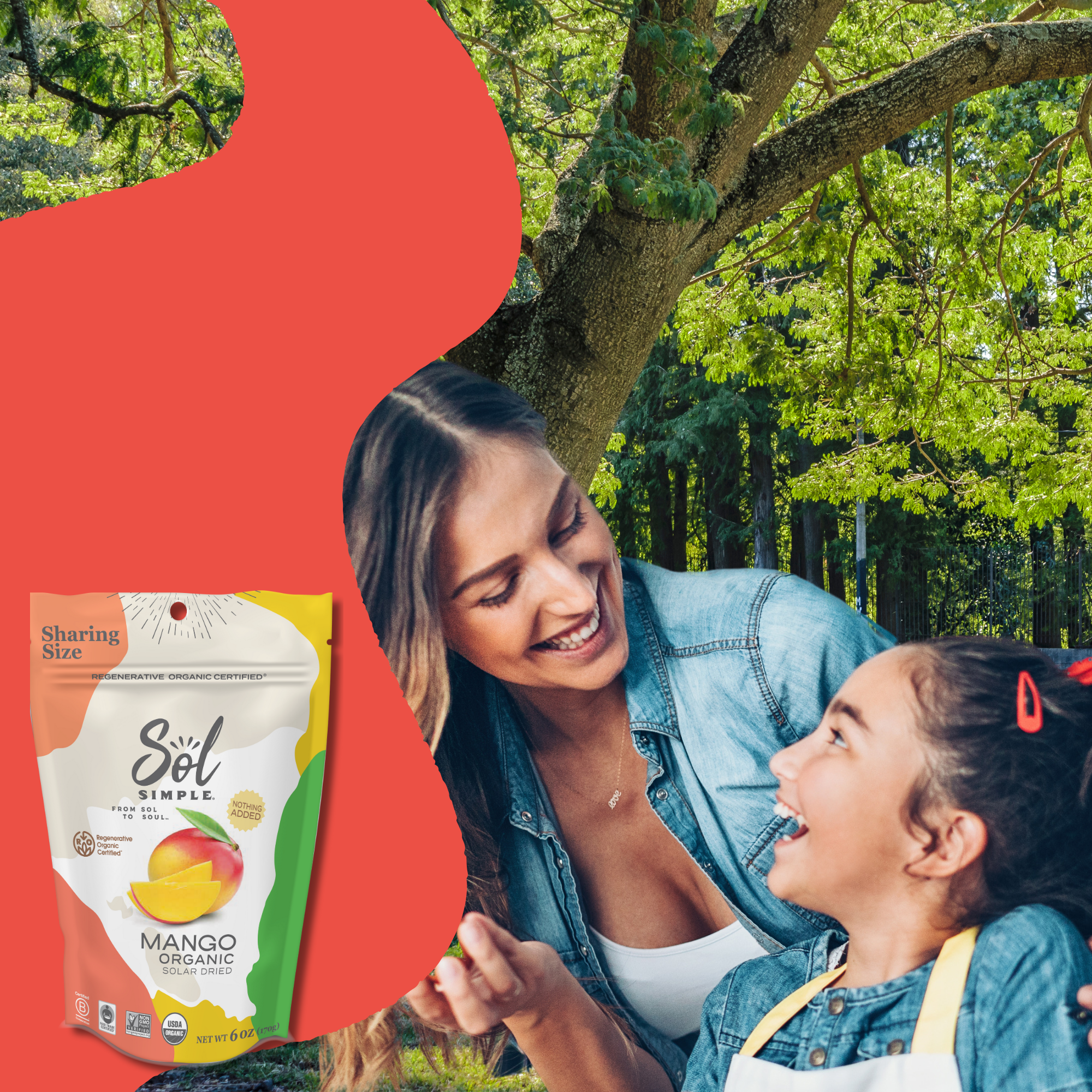 Sol Simple – wholesale Dried/dehydrated fruit – Regenerative Organic Certified Solar Dried Mango - 6oz10