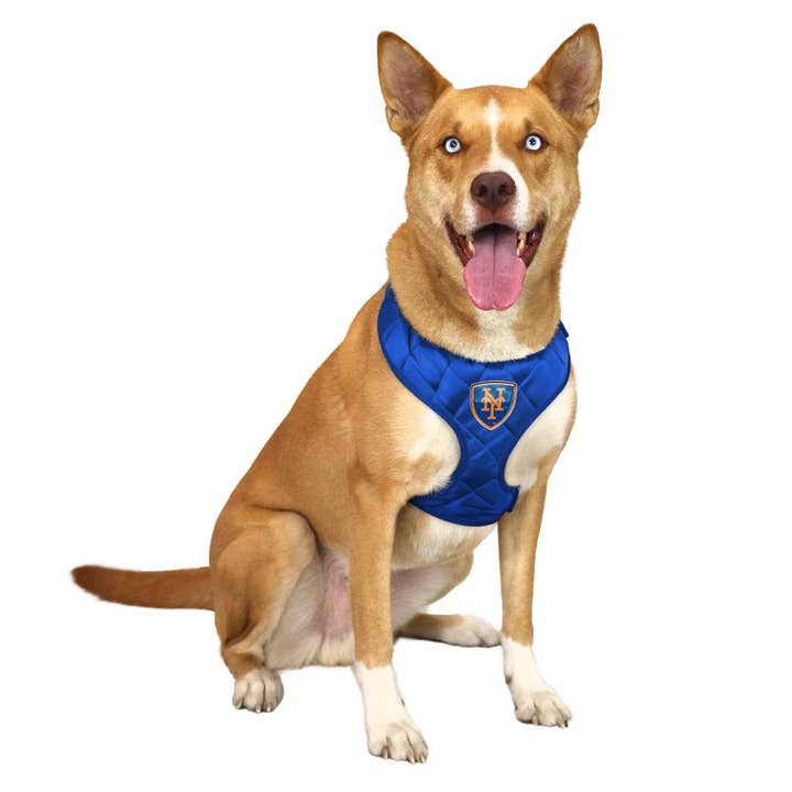 Little Earth Productions - Wholesale Pet Harness - Dog - MLB New York Mets Velvet Pet Harness1