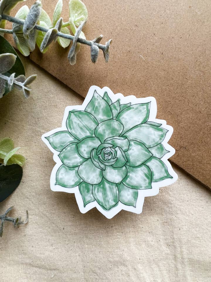 Adhesivo para plantas suculentas para venta al por mayor de Bizzy Bee Decals