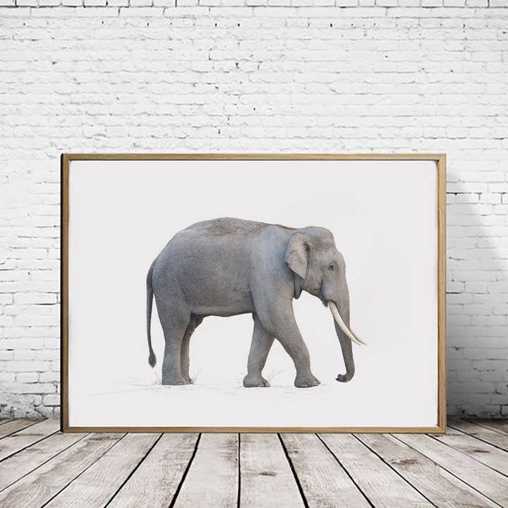 Indian Elephant - Print A1/A2 (landscape) for wholesale by Hidden Planet