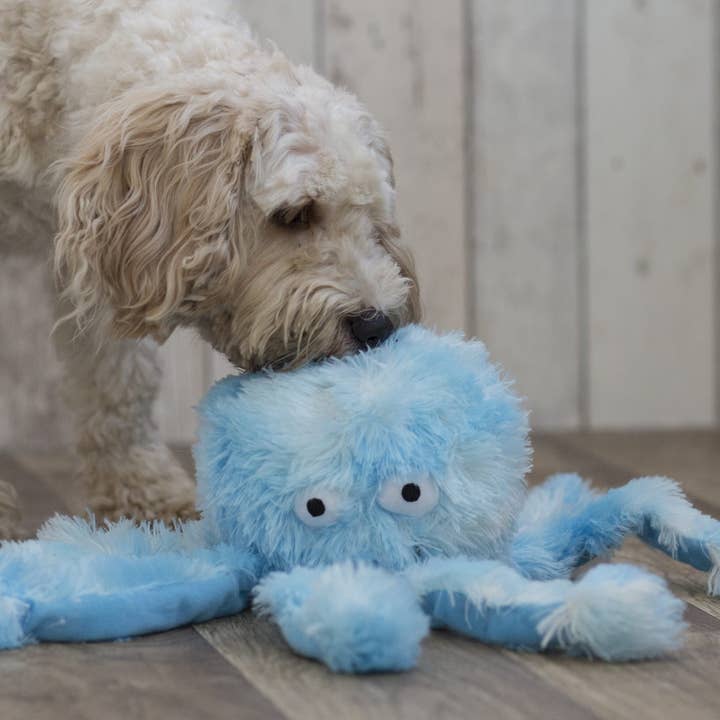 Only An Ocean Europe - Wholesale Pet Plush Toy - Dog - Gor Reef Octopus4