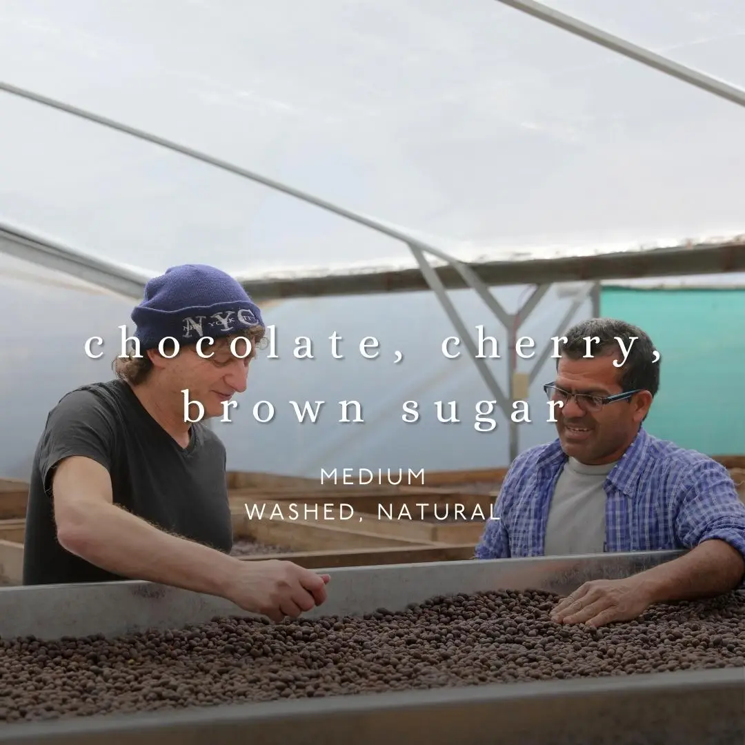 No. Six Depot - Wholesale Coffee Beans - The Sun Also Rises Whole Bean Coffee 12 oz1