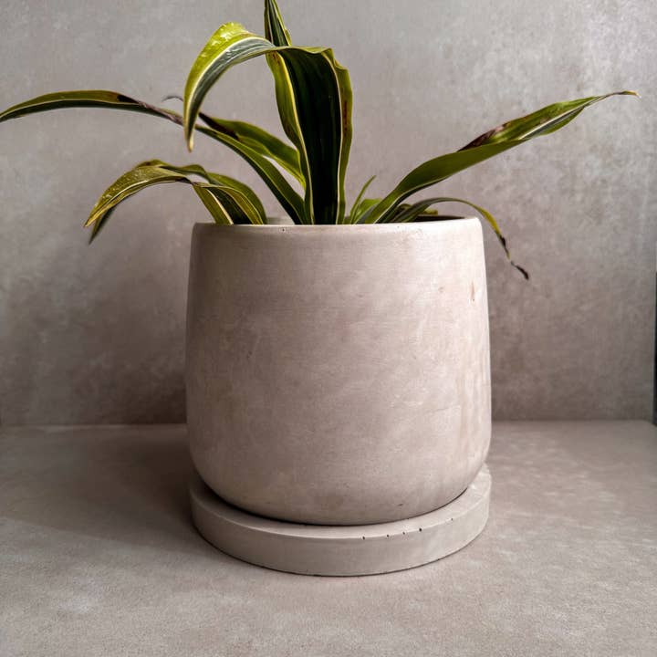 Maceta de hormigón con platillo, maceta moderna, maceta de piedra, maceta decorativa de cemento, maceta minimalista con drenaje, maceta nórdica, maceta redonda de 7 pulgadas para venta al por mayor de Minimal Loot Design