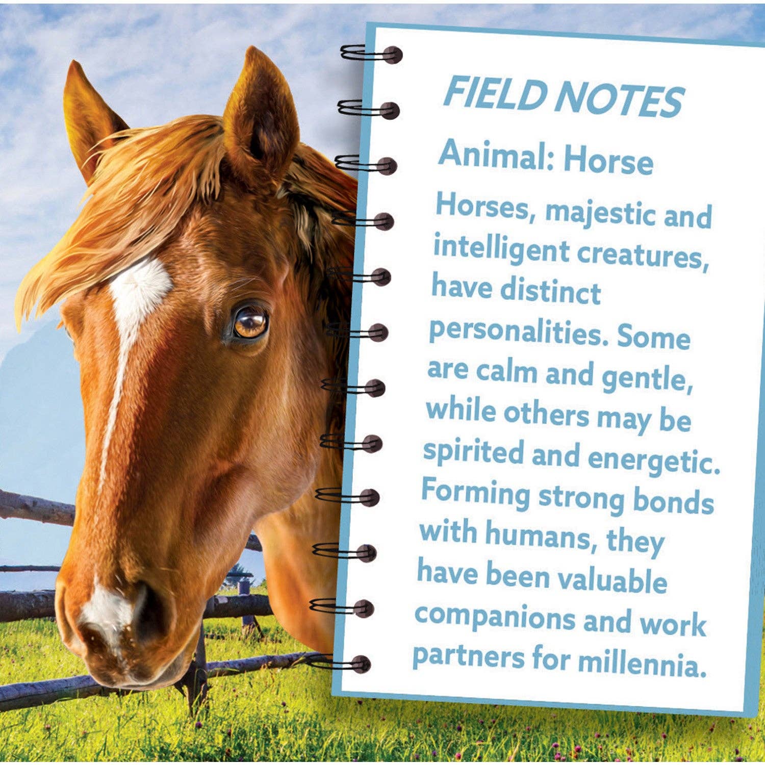 Masterpieces Puzzles - Wholesale Puzzle - Adult - Horse 100 Piece Shaped Jigsaw Puzzle2