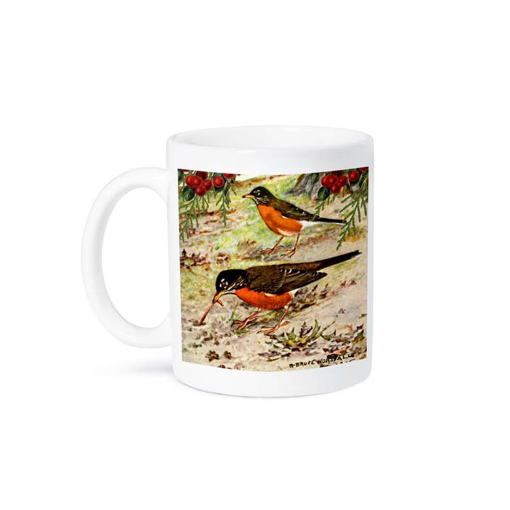 3dRose - Wholesale Coffee Mug - 3dRose, Vintage Bird Art American Robin Catches Worm - Robins Birds Feeding, Mug8