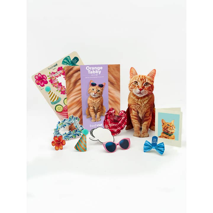 FreshCut Paper LLC - Wholesale Gewone wenskaart - Oranje Cyper (6 Pop-up Wenskaarten)4