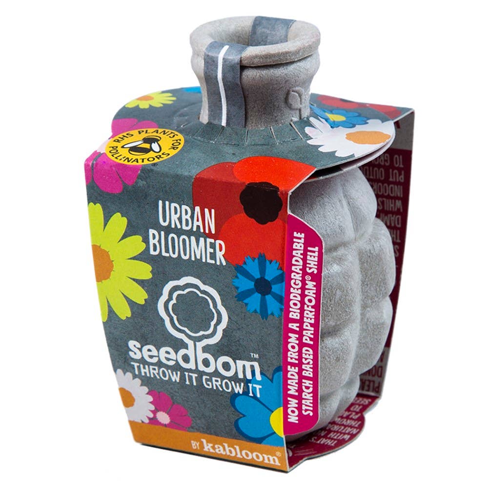 Shroot: Kabloom Seedboms - Wholesale Plant Seeds - Urban Bloomer Seedbom - CDU Pack - Wildflowers for Insects1
