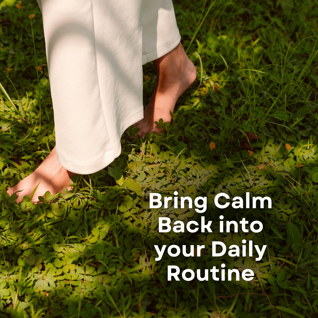 Besti Co. - Wholesale Oral Supplement/Vitamin - perimenopause support: mood1