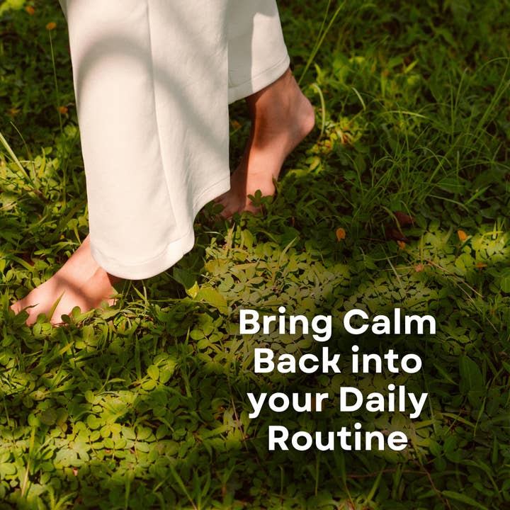 Besti Co. - Wholesale Oral supplement/vitamin - perimenopause support: mood1