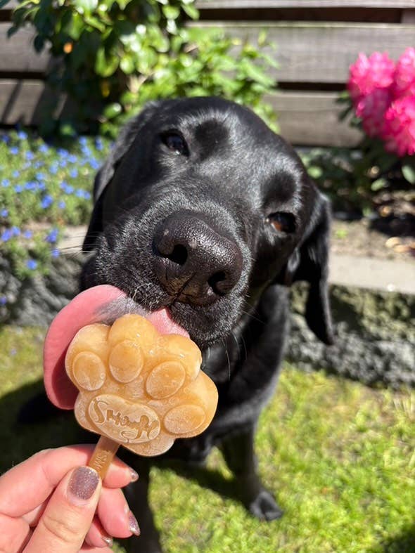 Smoofl - Wholesale Pet Treats - Dog - Peanut butter mix for dog ice5